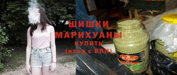бошки Алексин