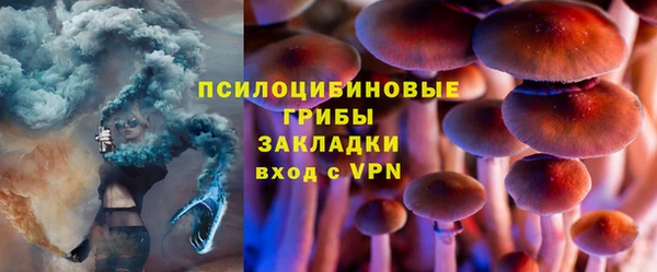 PSILOCYBIN Алексеевка