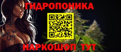 твердый Коммунар