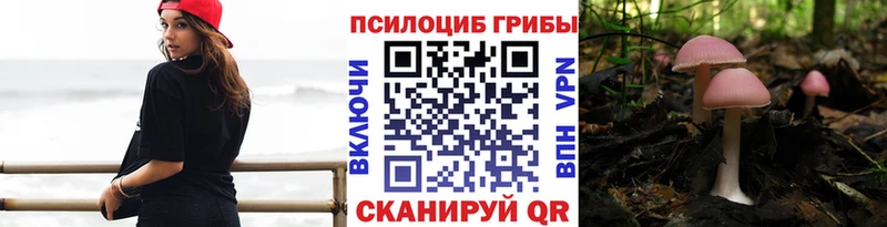 ОМГ ОМГ tor Крымск Галлюциногенные грибы GOLDEN TEACHER