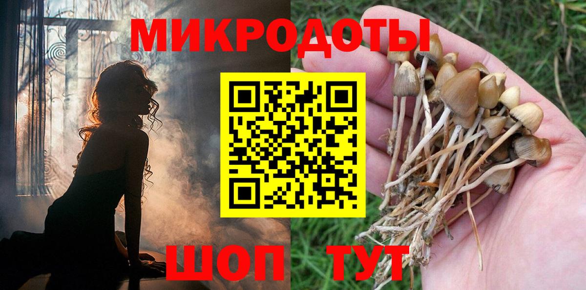 Псилоцибиновые грибы GOLDEN TEACHER  Псилоцибиновые грибы мицелий  Крымск  Вход с VPN 