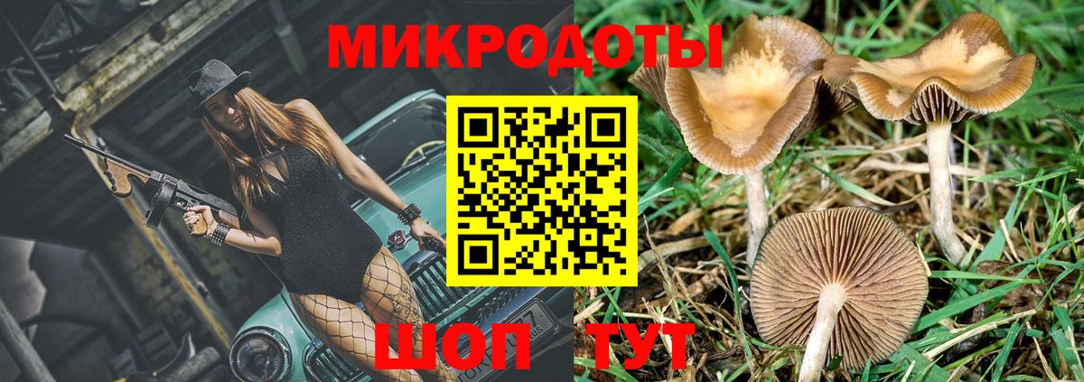 Галлюциногенные грибы прущие грибы Крымск